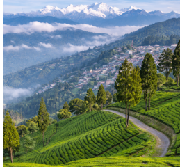 Darjeeling Taxi Service